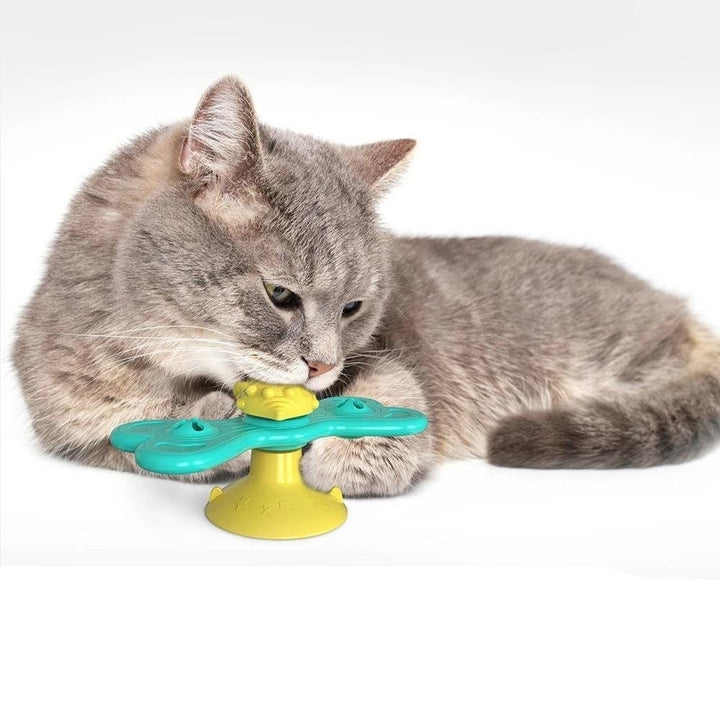 Windmill Interactive Cat Toy Turntable Molar Image 8