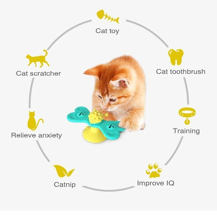 Windmill Interactive Cat Toy Turntable Molar Image 9