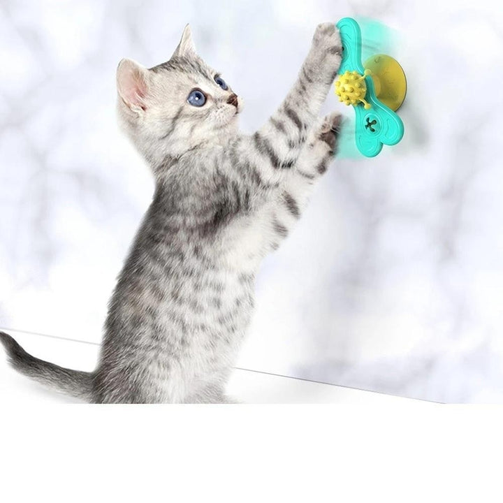 Windmill Interactive Cat Toy Turntable Molar Image 11