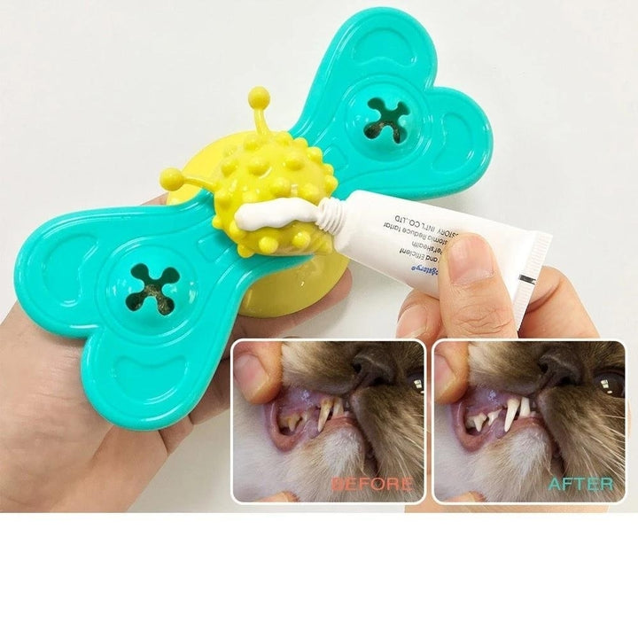 Windmill Interactive Cat Toy Turntable Molar Image 12