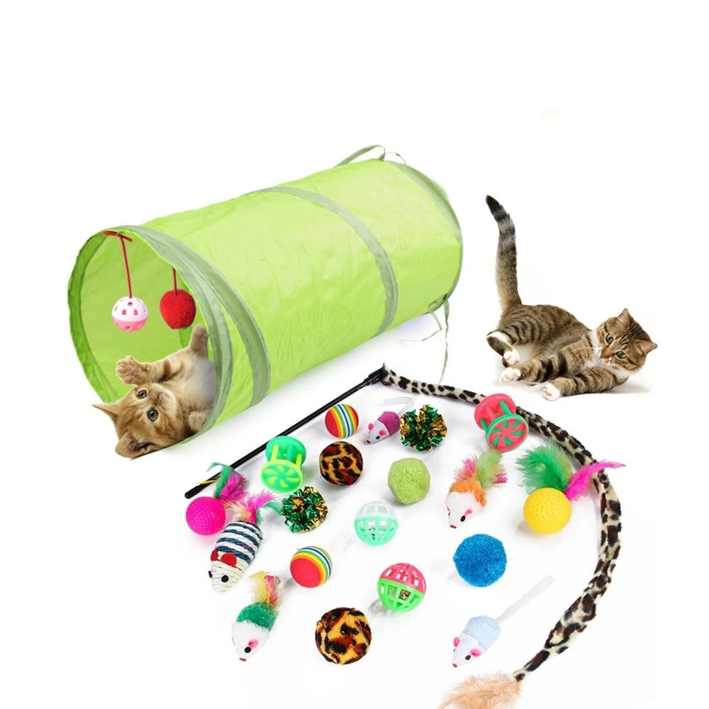 Cat Toy Kitten Toys - Variety Pack Set 21pc Image 2