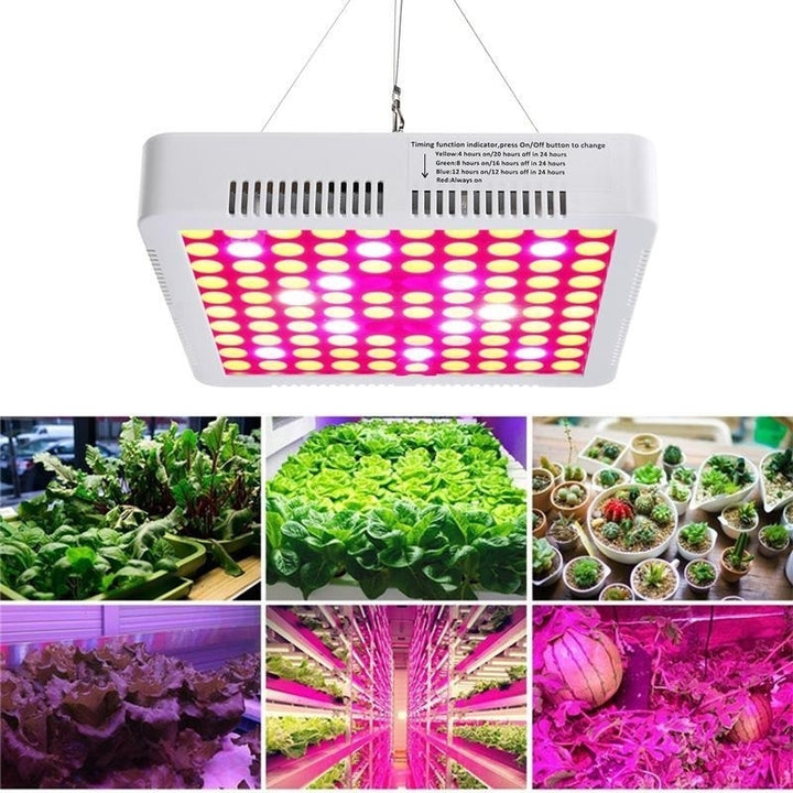 300W Full Spectrum Hydro Veg Grow Light Image 5