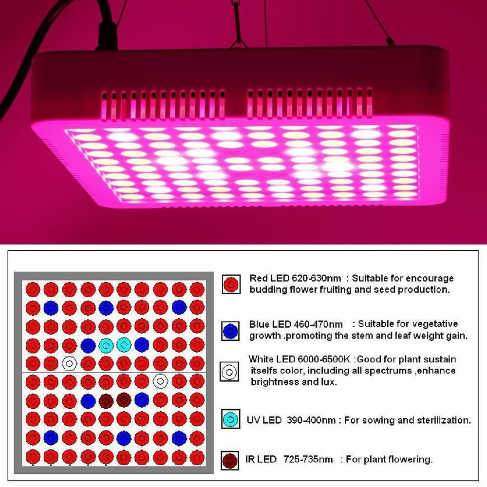 300W Full Spectrum Hydro Veg Grow Light Image 6