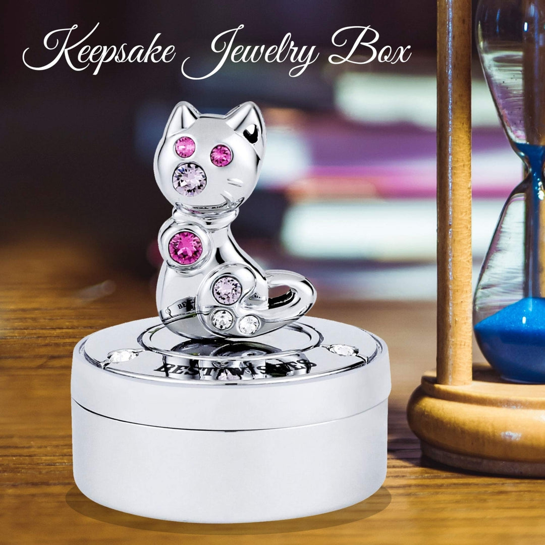 Matashi Chrome Plated Mini Silver Kitty Cat Keepsake Box Image 3