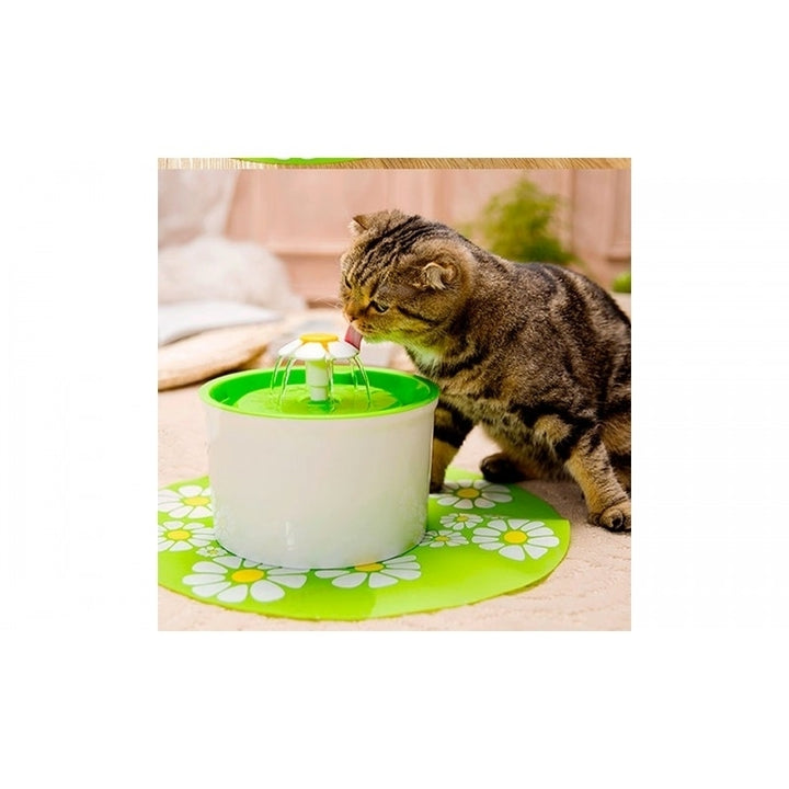 EI Contente Water Fountain-Bowl for Pets with Mat - Green EU Plug Image 4