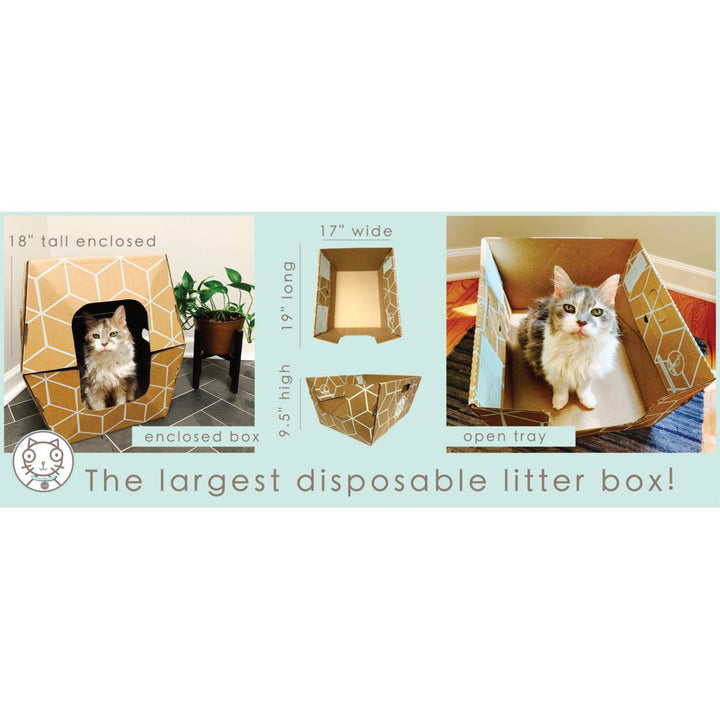 Cats Desire Enclosed Litter Box 19x17x9.5 inches Patented Design Two Trays Image 1