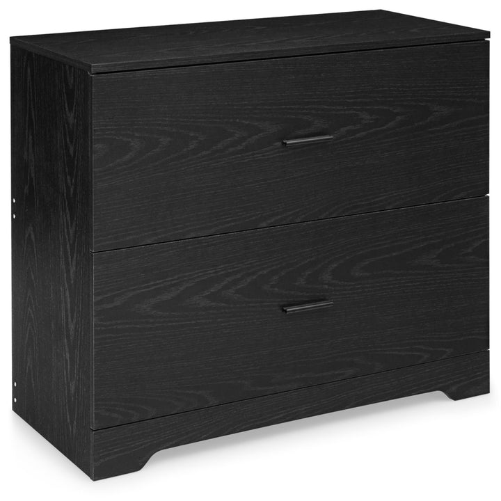 2-Drawer Lateral File Cabinet w/Adjustable Bars for Home Office Black Image 1