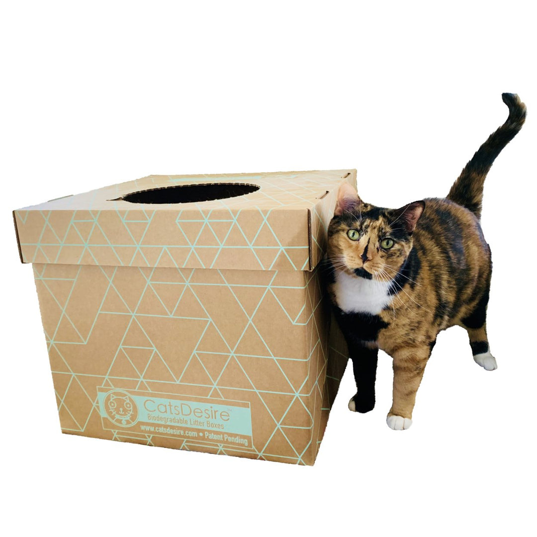 Cats Desire Biodegradable Top-Side Entry Litter Box 17x17 15in Moisture Barrier Image 7