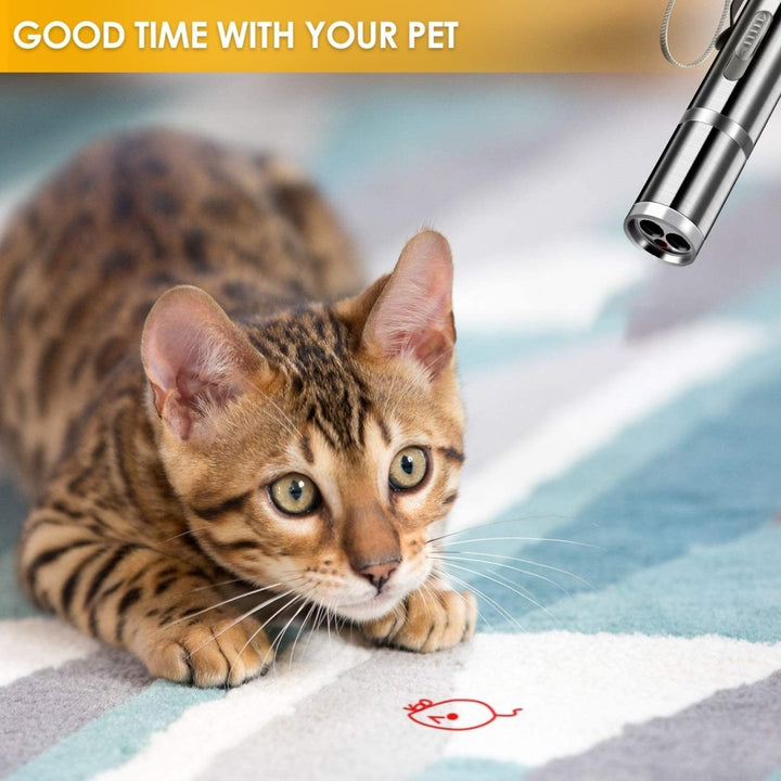 Cat Laser Pointer, Red Light Pointer, Pet Interactive Toy for Cats and Dogs with 3 Modes and USB Recharge Image 3