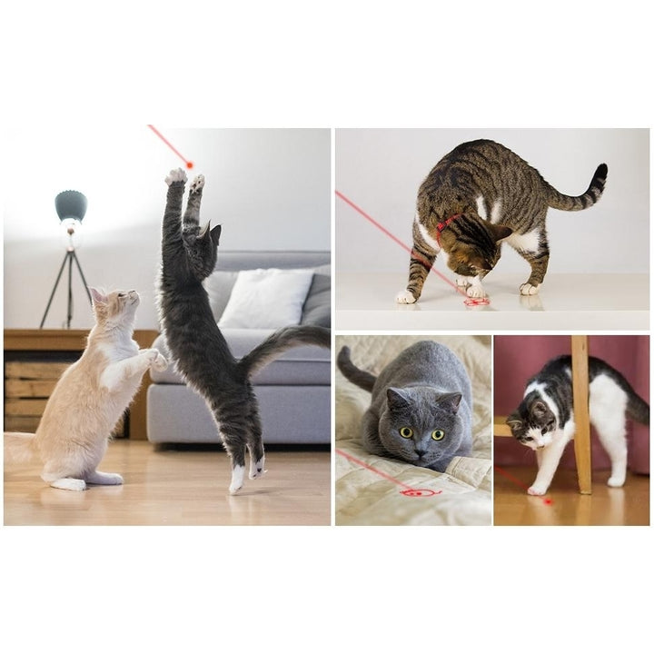 Cat Laser Pointer, Red Light Pointer, Pet Interactive Toy for Cats and Dogs with 3 Modes and USB Recharge Image 6