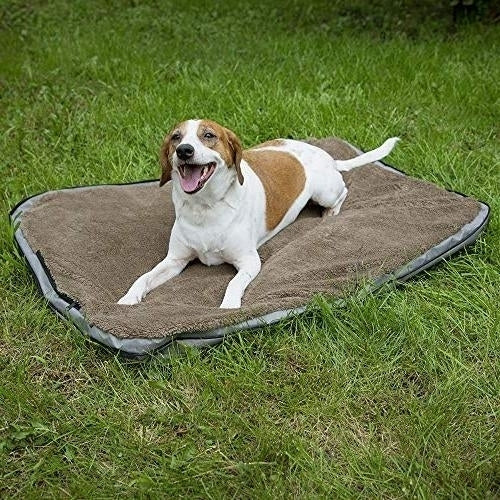 Sport Pet Designs Waterproof Travel Pet Bed, Portable Pet Bed with Zipper, Small, 24"x17" Image 5