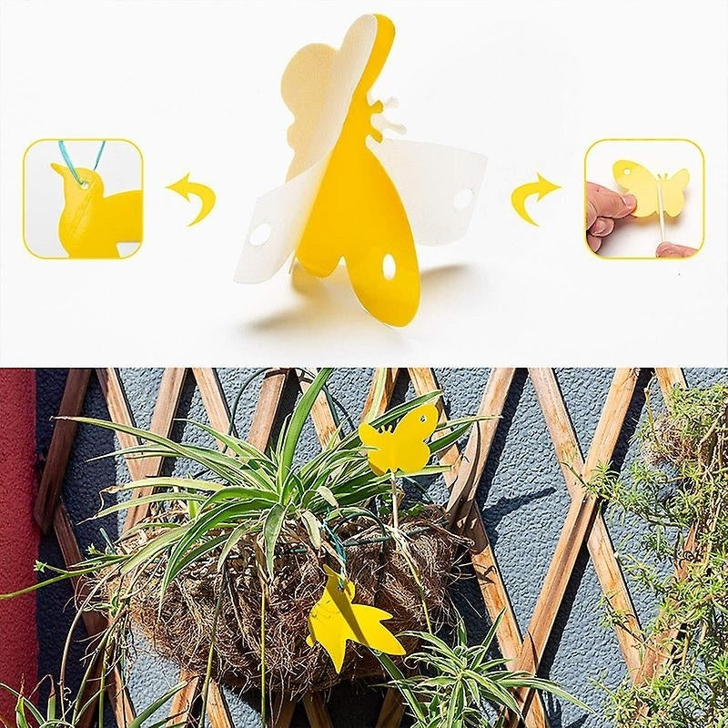 24 Pcs Yellow Sticky Trap Fruit Fly Fungus Gnat Catcher Image 2