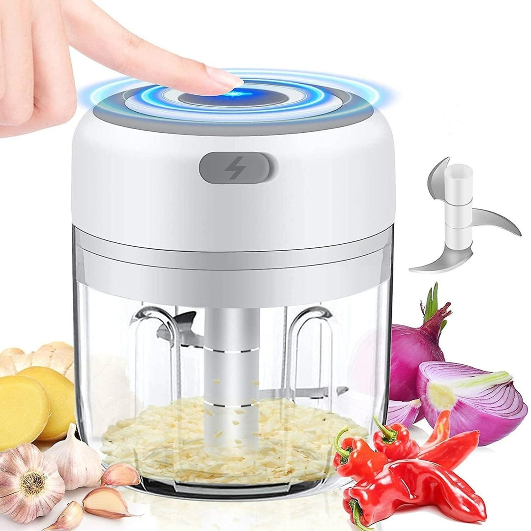 Electric Chopper Garlic Onion Cutter Fruit Meat Multi Chopper With Usb Charging 250ml Image 2