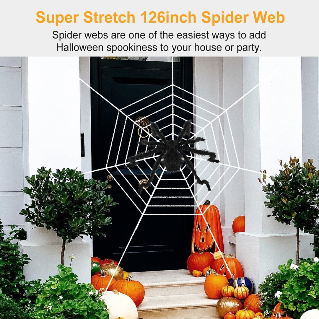 Giant 49 Inch Halloween Spider Decoration with Black Web for Outdoor Indoor Use Image 4