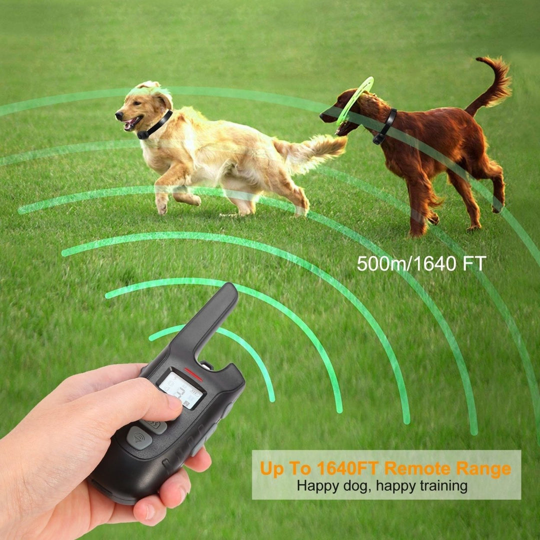 Dog Training Collar Waterproof Rechargeable Shock Collar 2 Dog Remote Control Image 2