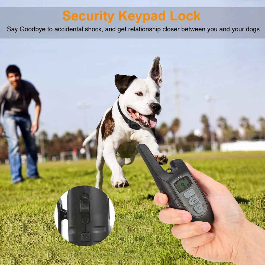 Dog Training Collar Waterproof Rechargeable Shock Collar 2 Dog Remote Control Image 4