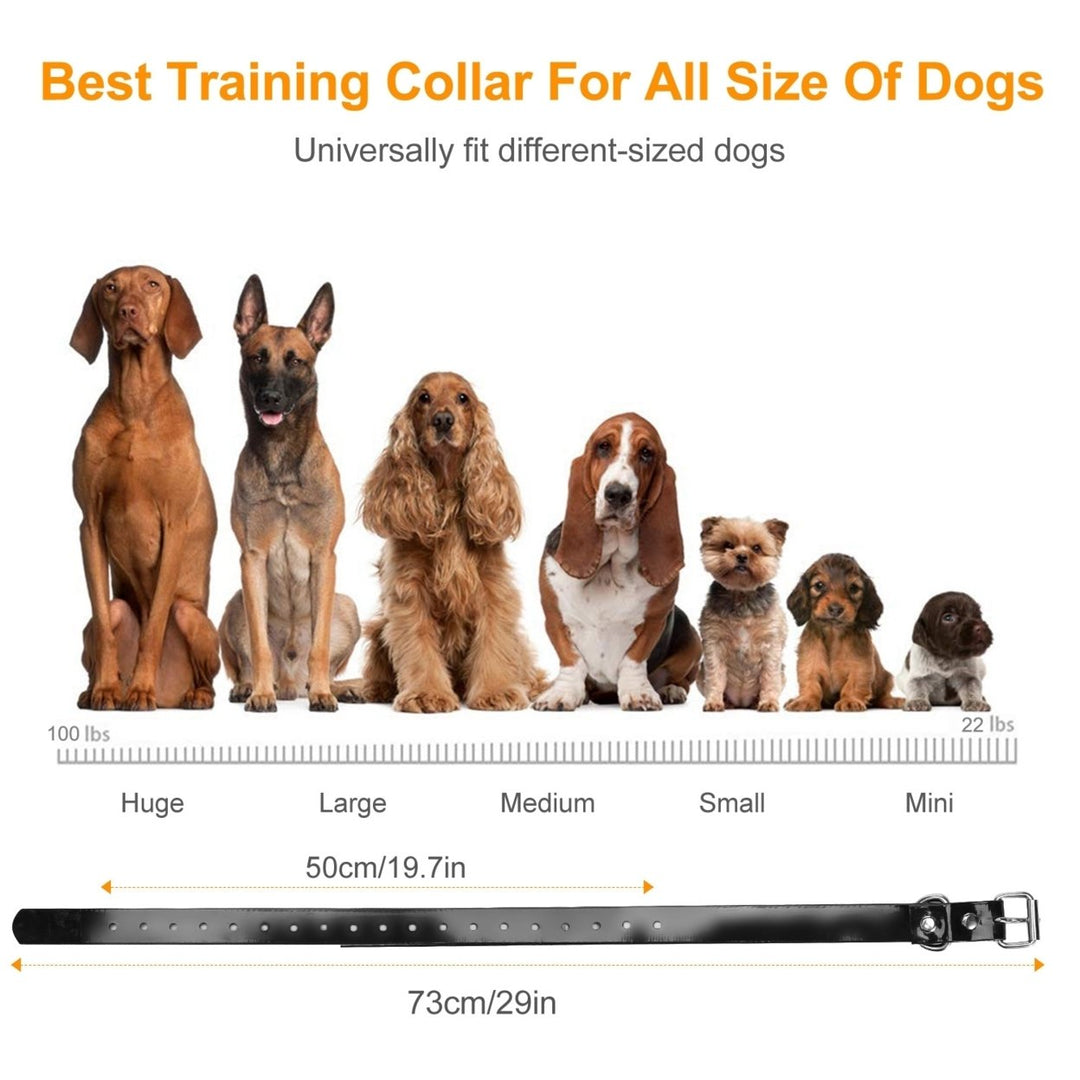 Dog Training Collar Waterproof Rechargeable Shock Collar 2 Dog Remote Control Image 6