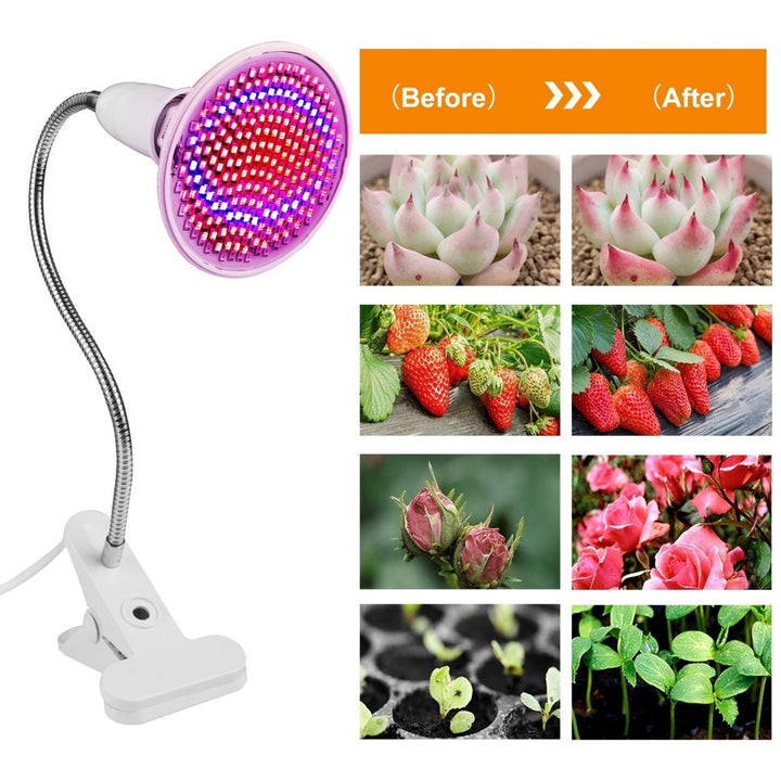 LED Grow Light 12W 200 Red Blue LEDs 360 Degree Rotatable Plant Lamp Image 5