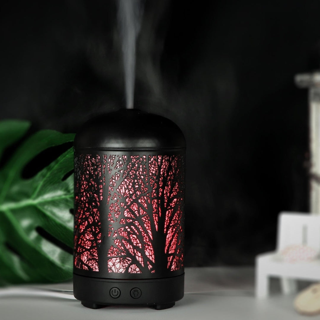 160ml Iron Art Humidifier Quiet Air Aroma Essential Oil Diffuser Aromatherapy Atomizer Image 11