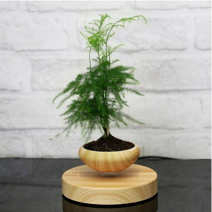 Magnetic Suspended Potted Plant Wood Grain Round LED Indoor Pot Home Office Decoration Image 2