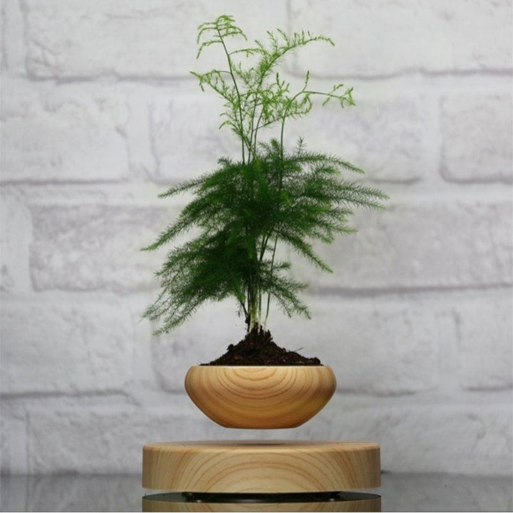 Magnetic Suspended Potted Plant Wood Grain Round LED Indoor Pot Home Office Decoration Image 3