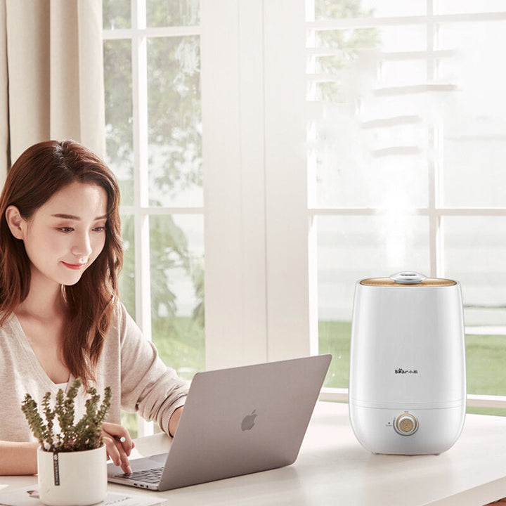 Smart Control 4L Water Capacity Air Humidifier Low Noise 360 Rotation Mist Outlet 220V Image 5