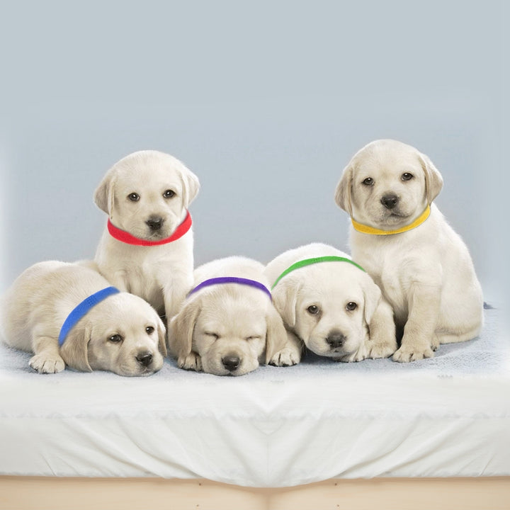 12 Colors Adjustable Whelping Puppy ID Collars Double-Sided Pet Bands Polyester Image 7