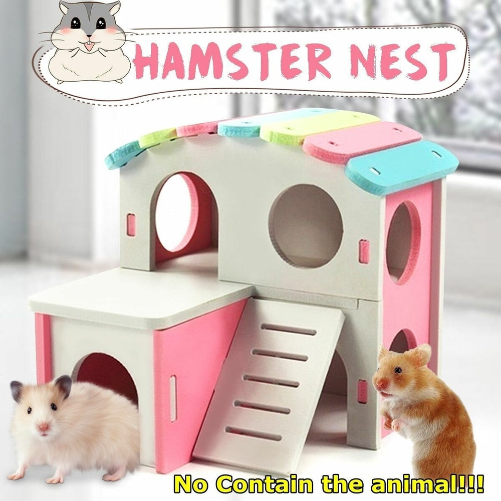 Hamster Golden Bear Bedroom Color Wooden House Big House Image 2