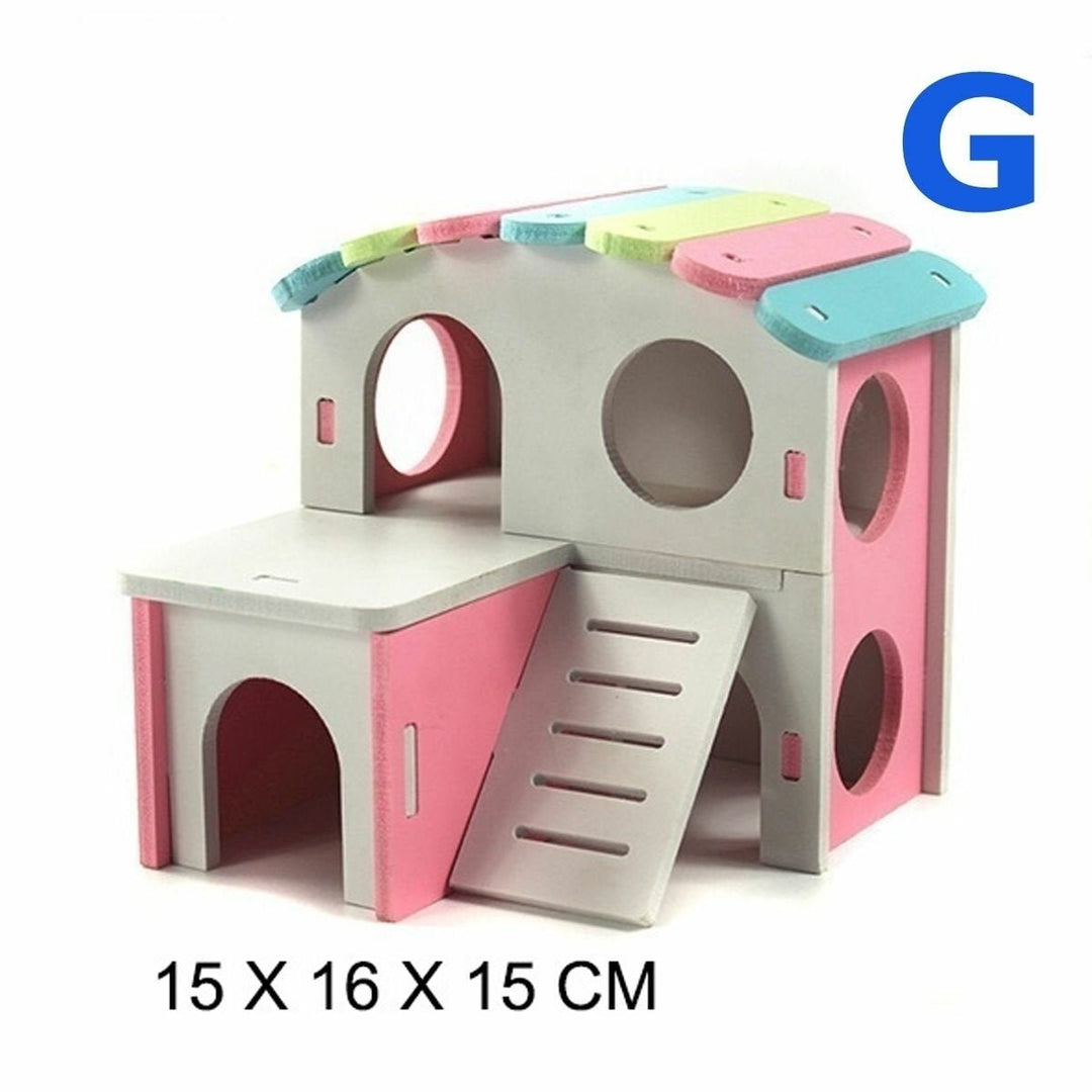 Hamster Golden Bear Bedroom Color Wooden House Big House Image 10