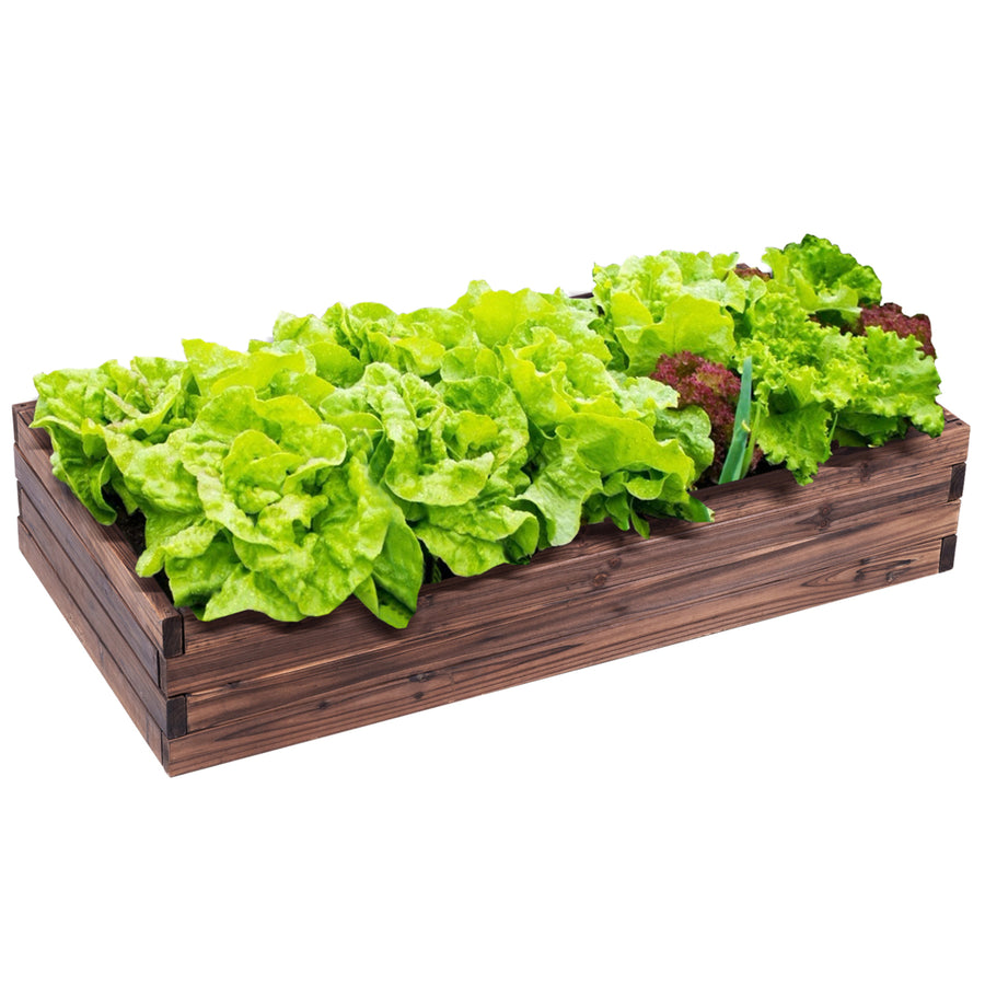 Wooden Raised Garden Bed Kit - Elevated Planter Box For Growing Herbs Vegetable Image 1