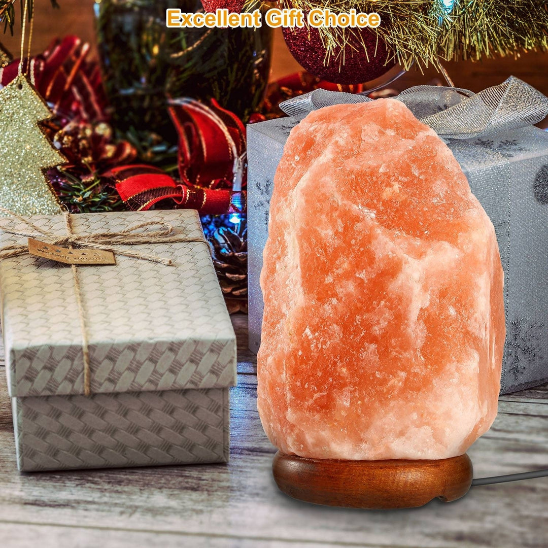 Salt Lamp Crystal Rock Salt Lamp with Dimmer Switch Hand Carved Table Lamps Night Light with Wood Base Image 8