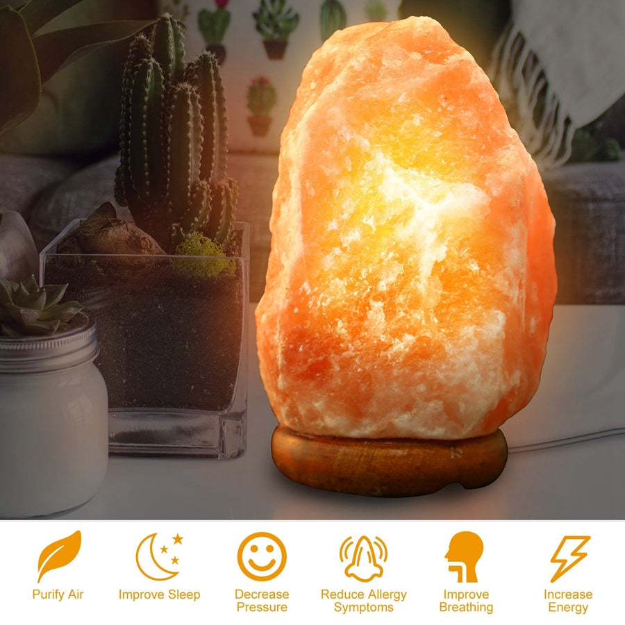 Salt Lamp Crystal Rock Salt Lamp with Dimmer Switch Hand Carved Table Lamps Night Light with Wood Base Image 1