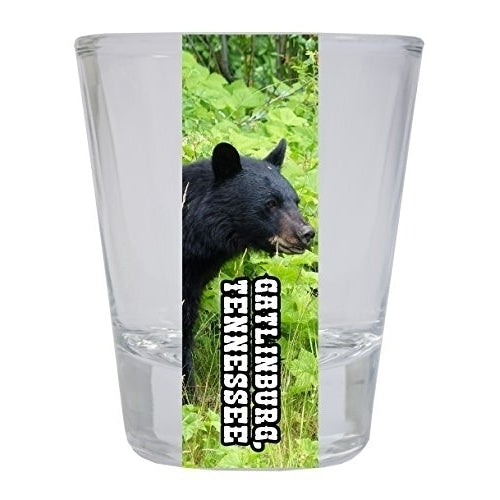 Gatlinburg Tennessee Souvenir Great Smoky Mountains Bear Round Shot Glass Image 1
