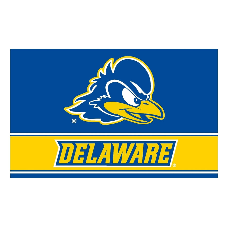 Delaware Blue Hens Wood Sign with Frame Image 1