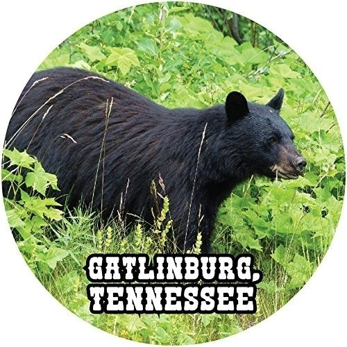 Gatlinburg Tennessee Souvenir Great Smoky Mountains Bear 3" Round Sticker Decal Image 1