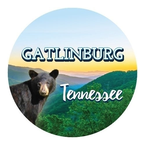 R and R Imports Gatlinburg Tennessee Souvenir Great Smoky Mountains Bear 3 Inch Round Magnet Image 1