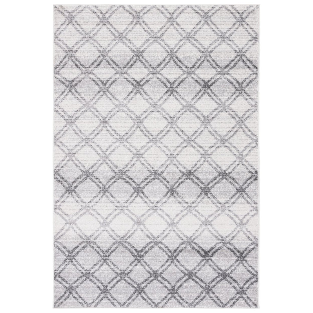 SAFAVIEH Adirondack ADR105P Silver / Charcoal Rug Image 1