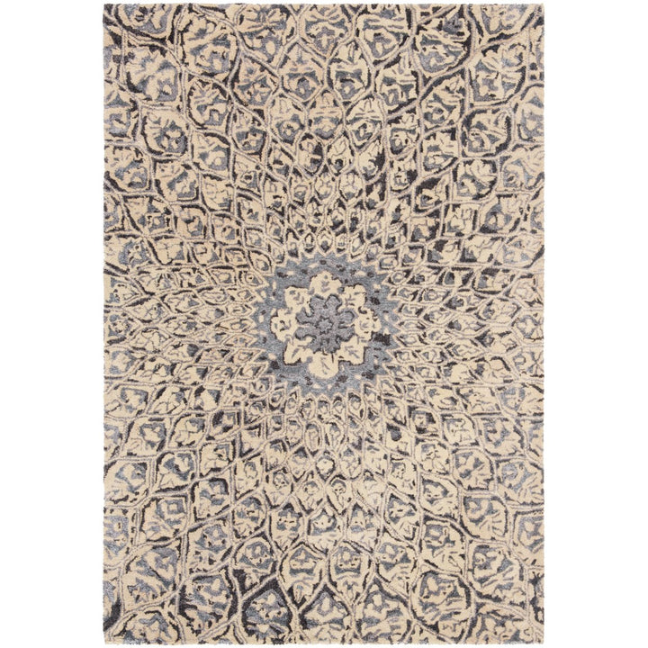 SAFAVIEH Allure ALR419A Handmade Ivory / Charcoal Rug Image 2