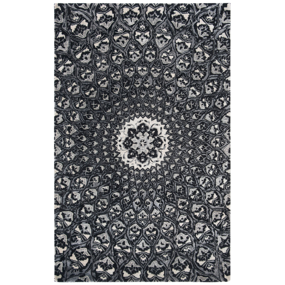 SAFAVIEH Allure ALR419Z Handmade Ivory / Black Rug Image 2