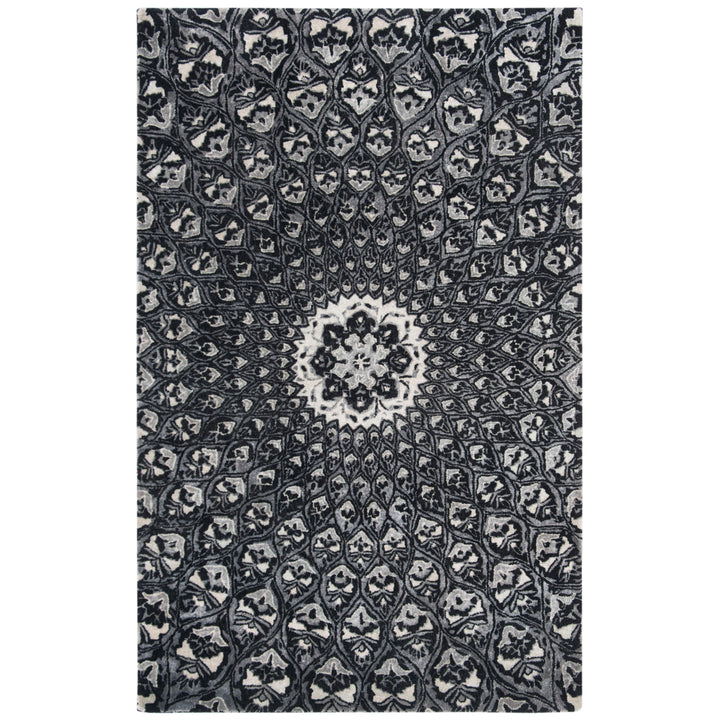 SAFAVIEH Allure ALR419Z Handmade Ivory / Black Rug Image 2