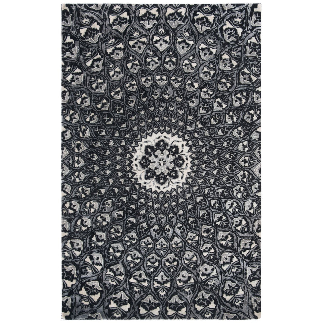 SAFAVIEH Allure ALR419Z Handmade Ivory / Black Rug Image 1