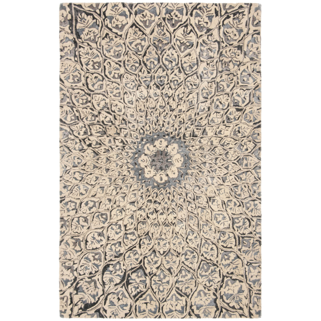 SAFAVIEH Allure ALR419A Handmade Ivory / Charcoal Rug Image 4