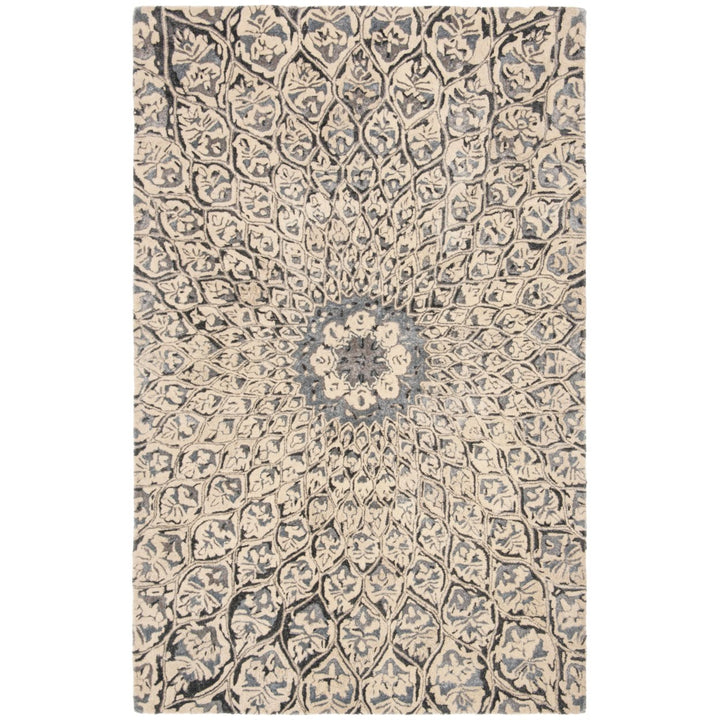 SAFAVIEH Allure ALR419A Handmade Ivory / Charcoal Rug Image 1