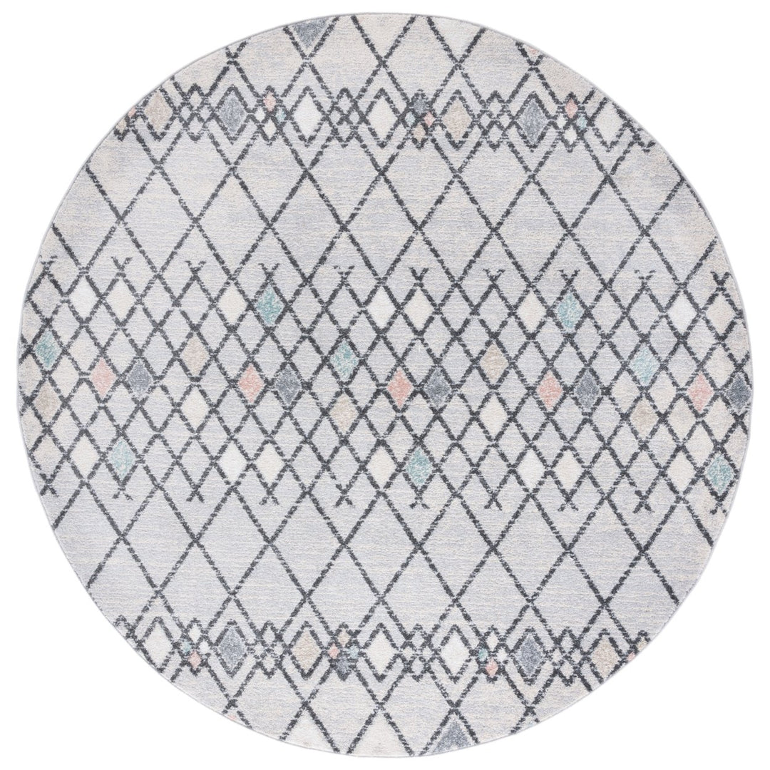 SAFAVIEH Amsterdam Collection AMS115F Grey / Ivory Rug Image 1