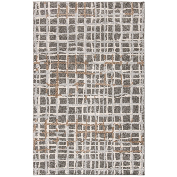 SAFAVIEH Amherst Collection AMT403C Grey / Ivory Rug Image 7