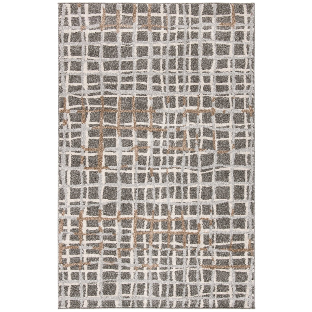 SAFAVIEH Amherst Collection AMT403C Grey / Ivory Rug Image 1