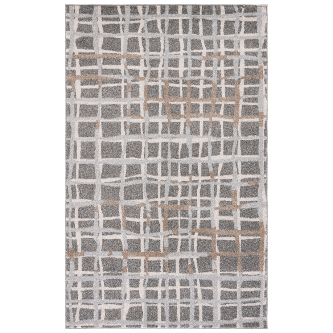 SAFAVIEH Amherst Collection AMT403C Grey / Ivory Rug Image 8