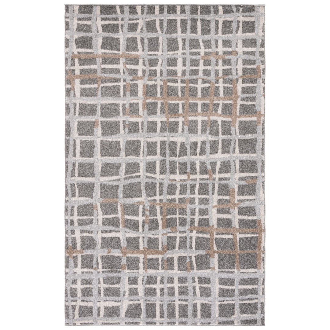 SAFAVIEH Amherst Collection AMT403C Grey / Ivory Rug Image 1