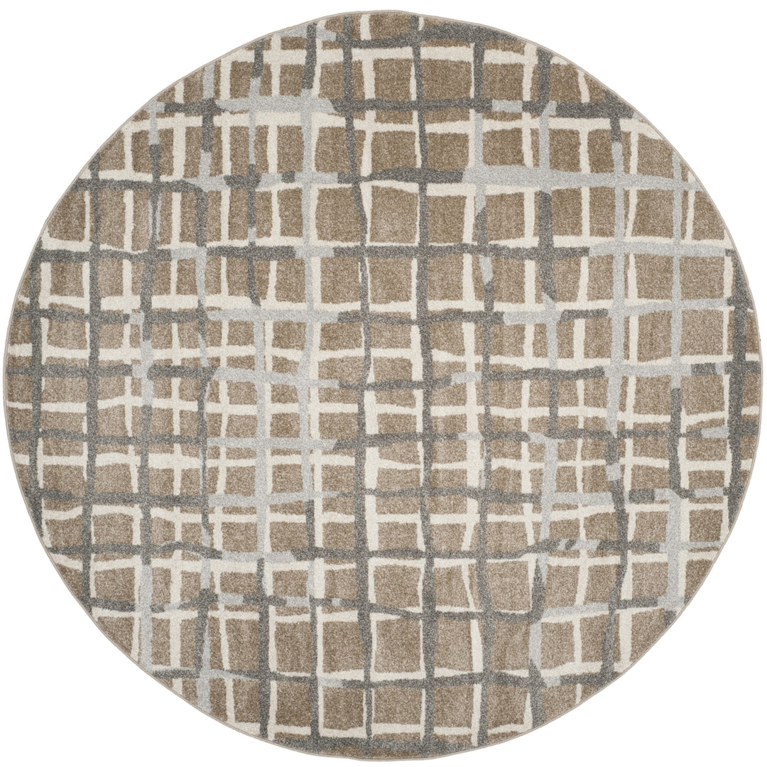 SAFAVIEH Amherst Collection AMT403S Wheat / Beige Rug Image 4