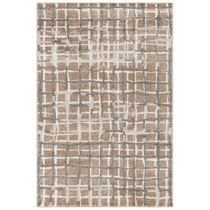 SAFAVIEH Amherst Collection AMT403S Wheat / Beige Rug Image 7